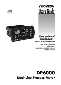 Thumbnail of document Manual - DP6000-6R4 1/8 DIN Dual Input Process Panel Meter, 6 Digit Display